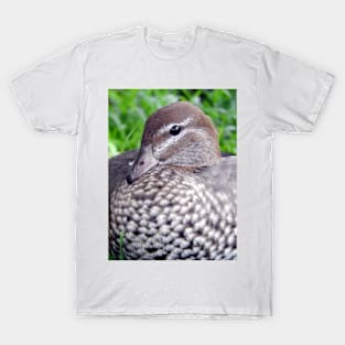 Australian Wood Duck T-Shirt